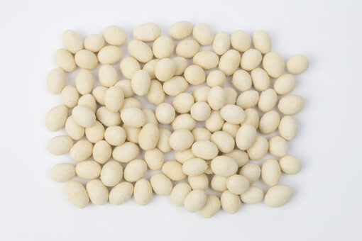 Garlic-5844