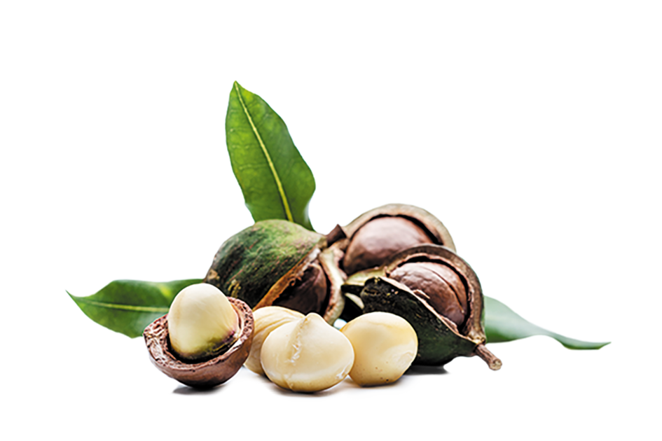(c) Kingnuts-raaphorst.com