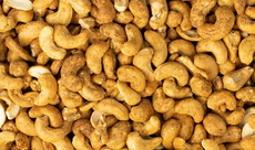 320321 cashew rozemarijn