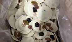 Studentenflikken wit